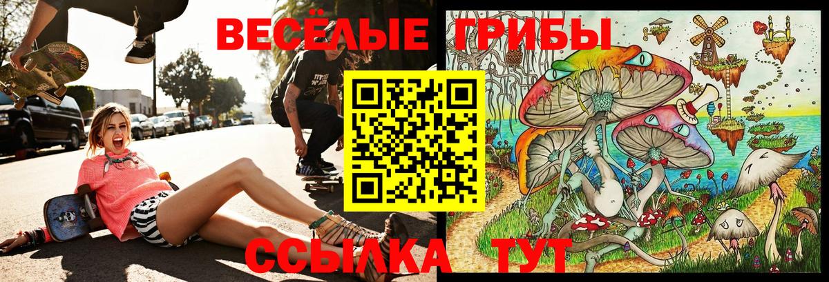 Галлюциногенные грибы ЛСД Великие Луки