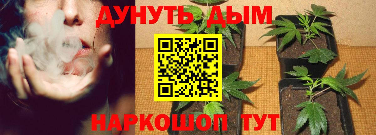Каннабис марихуана  Шишки марихуана Bruce Banner  Вход с VPN  Великие Луки  МАРИХУАНА Ganja  МАРИХУАНА OG Kush 